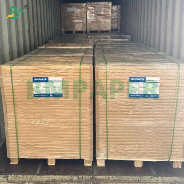 35gsm Odorless Cupcake Paper In Roll FDA  SGS for Air Fryer Cooking Oven Use