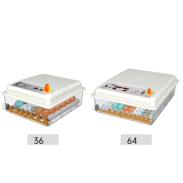 Automatic Eggs Incubator Machine for Poultry Egg Hatching in Shanghai or Nanjing