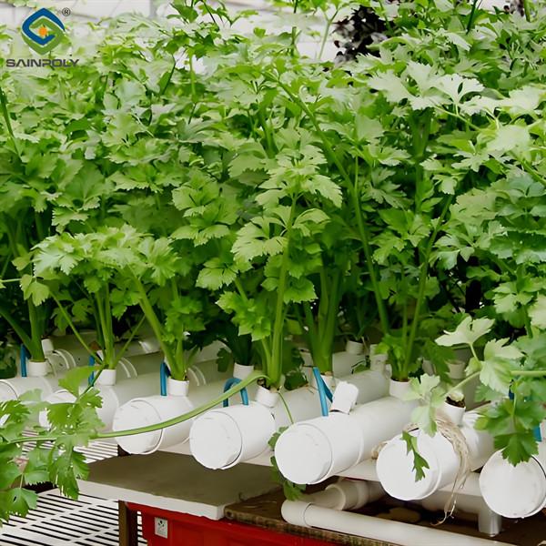 Agricultural Multispan Greenhouse Complete Hydroponic Nft Greenhouse