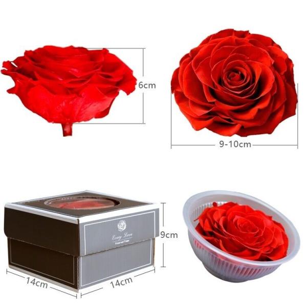 China factory Real Preserved Rose in Gift Box for Decoration Gift Preserved Flowers in Box