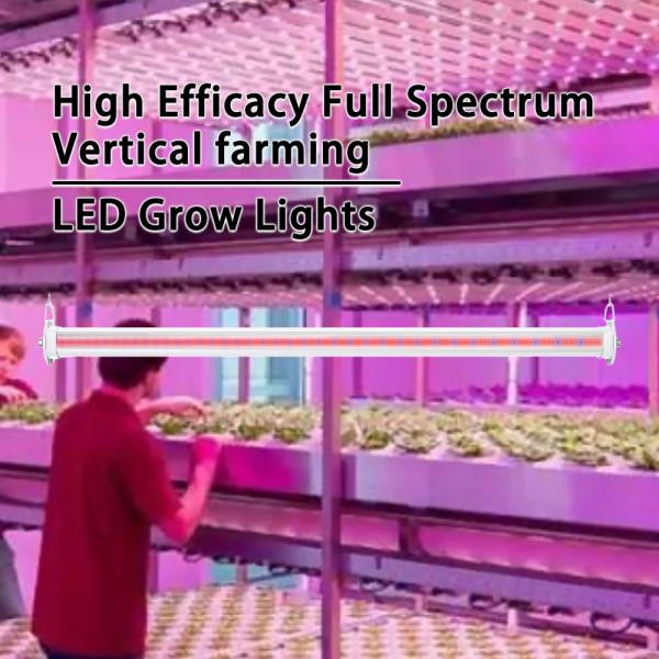 СИД инфракрасн T5 120cm УЛЬТРАФИОЛЕТОВОЕ вырасти светлый 50W оптимальный спектр 660nm 450nm