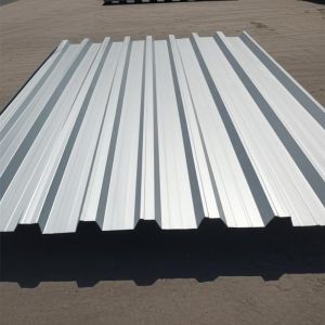 Custom OEM Agricultural Steel Structure Storage Shed Prefab Poultry Barn Ventilated Farm Building 75mm EPS Panel