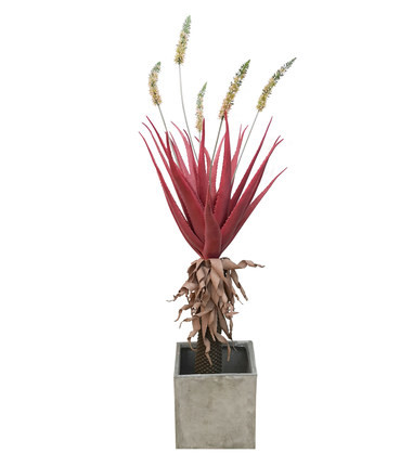 Red Giant Succulent Artificial Tropical Tree Potted Plant Indoor Home Decoration