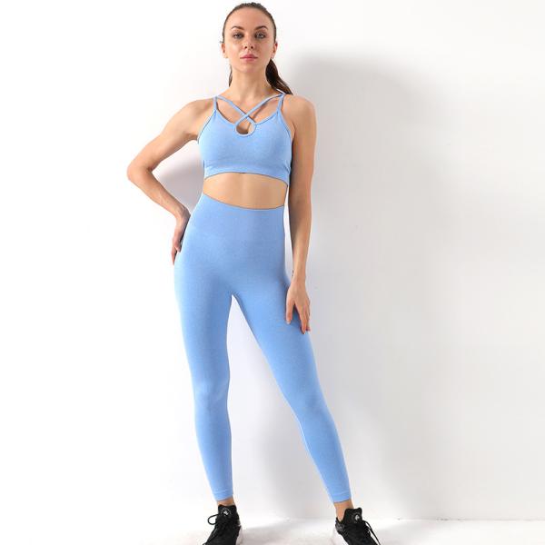 Adultos Grupo de edad Estilo HEXIN sujetador de 2 piezas Gimnasio de yoga sin costura Gimnasio de fitness