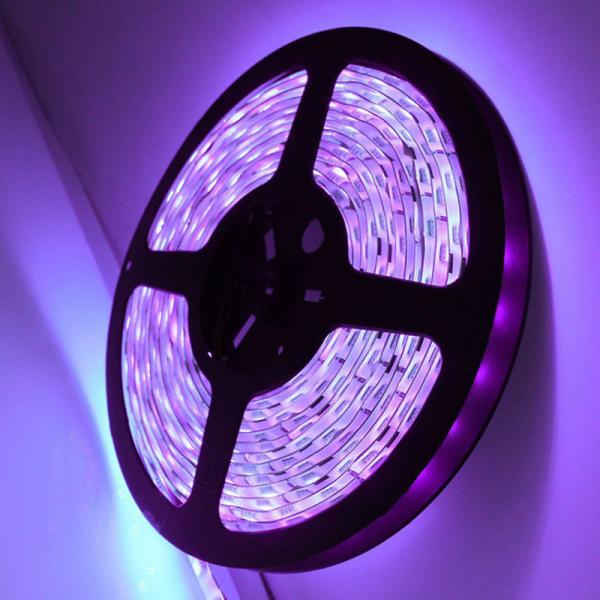 Purple UV 12v 24v Purple Led Light Strip 395nm UV Led Tape 5050 Smd