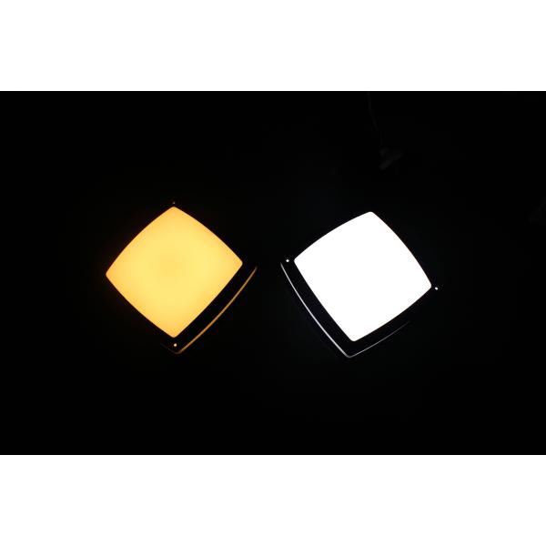 Grey Oval Outdoor LED Ceiling Light 280mm IP65 Aluminum Slim RGB Panel Light