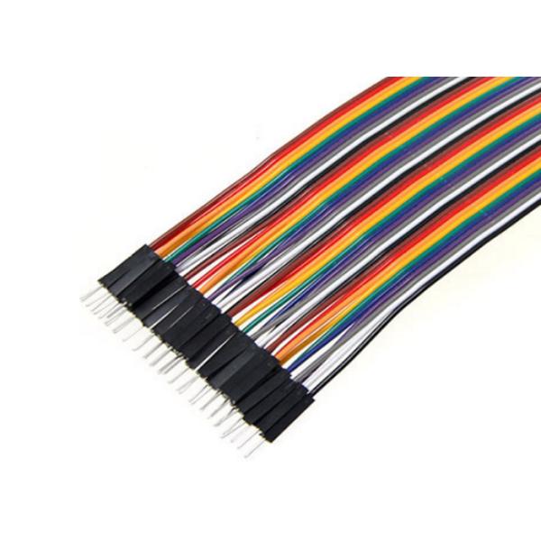 20cm Male To Male Flat Ribbon Cable Assembly For Advertising Machine 2.54mm Pitch