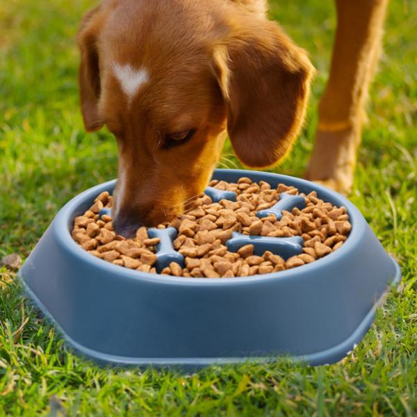 Comida para mascotas Comida para perros de plástico para perros y gatos