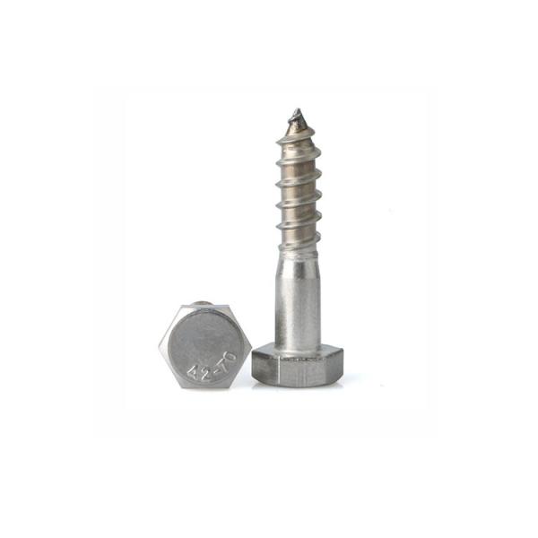 DIN 571 Hexagon Head Wood Screws 316L Stainless Steel Coach Screws