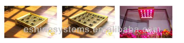 Buy or regret ! 320w led grow light for mari growing