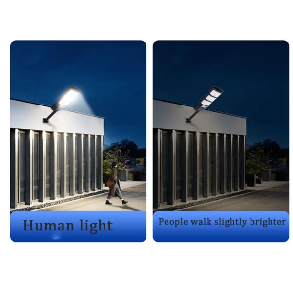 Lighting and Circuitry Design for 0.23kg Power Induction Street Light in Rural Areas