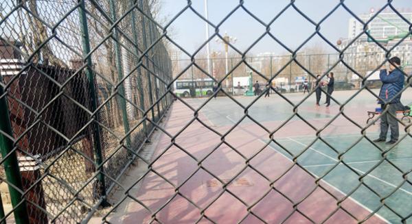 4.8mm Galvanized Chain Link Fence 50m Roll Diamond Hole Mesh