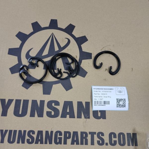 Les pièces de rechange de moteur de camion de Hyunsang révisent Kit For WD615