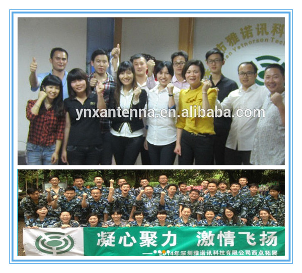 Прямая подача 5dbi Gain RG174 VHF/UHF Цифровая автомобильная антенна телевидения Антенна пленки Антенна мембрана Антенна