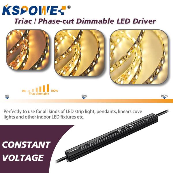 IP67 UL Triac Phase Cut Dimming LED Pool Light Transformers Class 2 60W 220V 12V AC 24V 12V