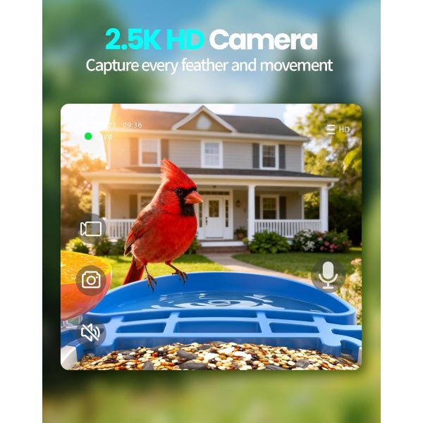 Smart Bird Feeder With Camera, Bird Camera Wireless For Outdoors