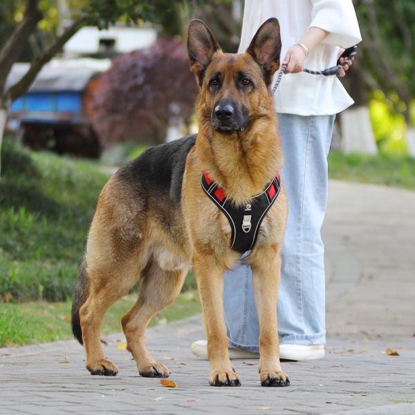 Dog leash explosion-proof big dog chest harness reflective large dog dog leash vest pet leash
