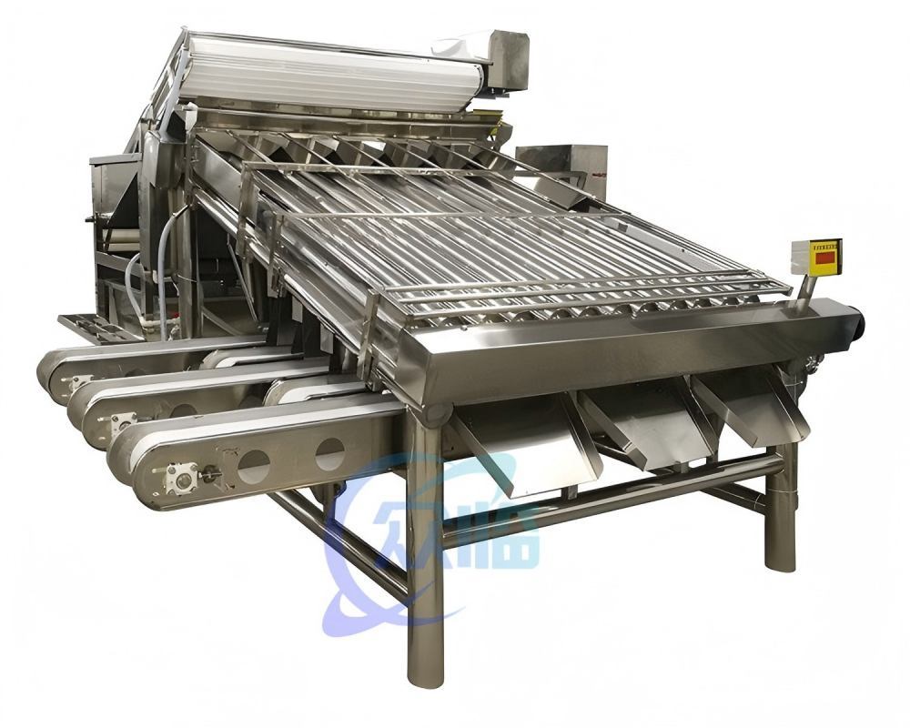 Customizable Prawn Grader Automatic Shrimp Processing Equipment
