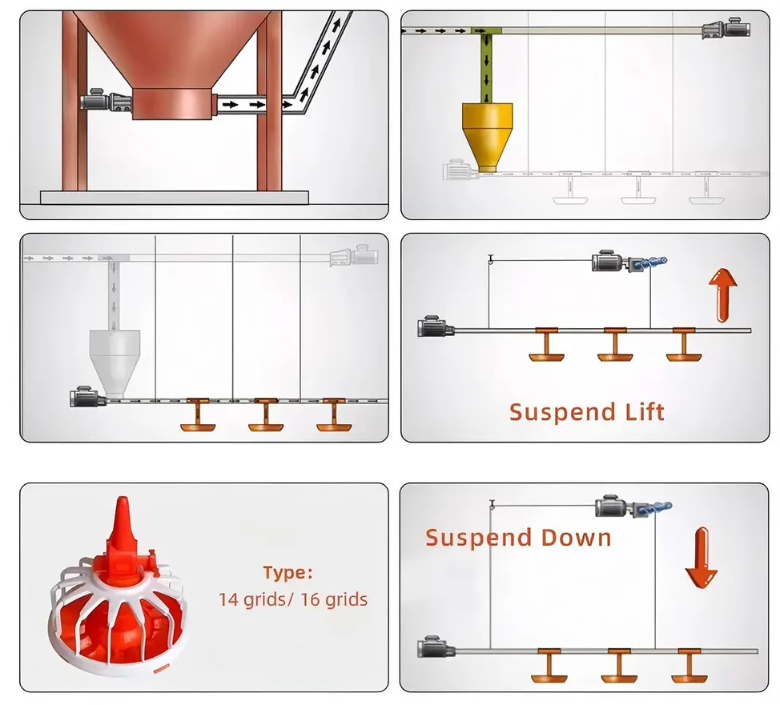 Modern Steel Poultry House with Automatic Ventilation System and Pre-installed Plumbing System for Broiler Chicken Breeding