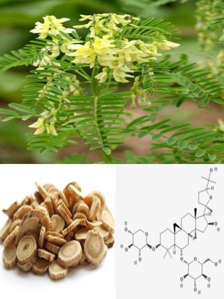 Manufacturer supply Astragaloside IV 0.3%-98%, CAS No.: 84687-43-4, 100% Astragalus Root Extract, Pharma standard