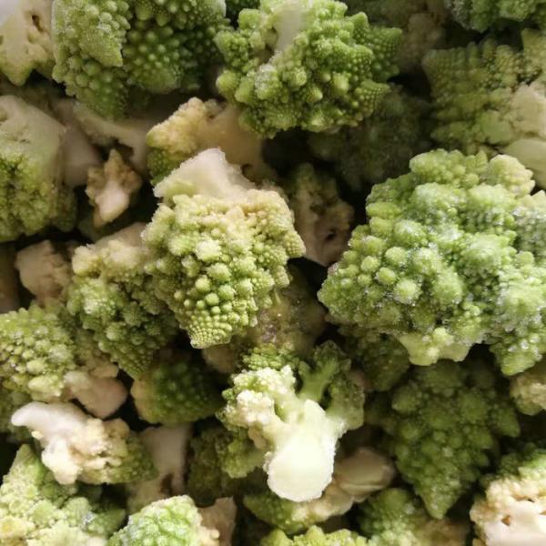 OEM Premium Quality IQF Individually Quick Freezing Frozen Romanesco Florets Wholes / Cut Shape Optional