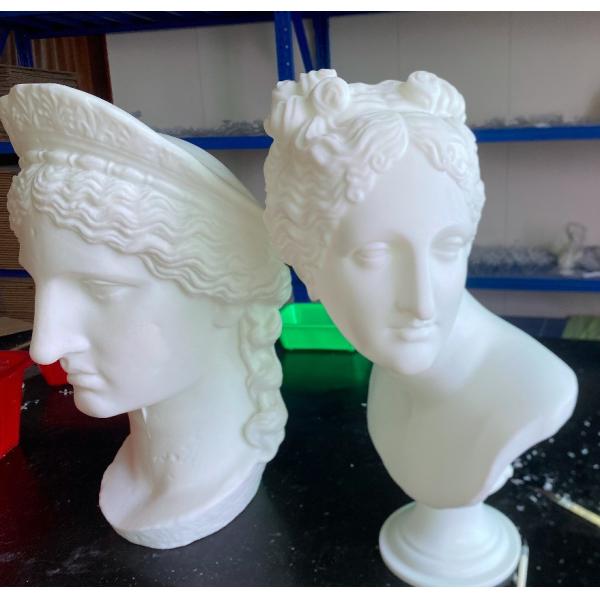 Custom 3D Printing Service for Rapid Prototype Plastic Model Laser Printing Resin SLS