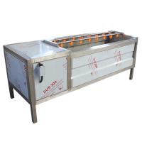 1200 kg/h Maquinaria para pelar frutas y verduras