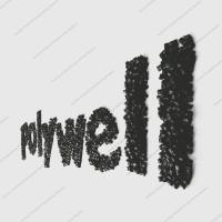 Polyamide de nylon PA66 de qualité d'extrusion avec résistance chimique et allongement ≥ 2,6%