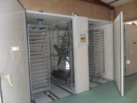 Incubateur d'oeufs du chariot 30000 à oeufs hachant la machine