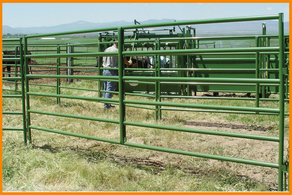 Horse Fence, cattle fence panel, sheep fencing and Fence