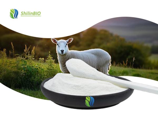 Sheep Placenta Extract Powder