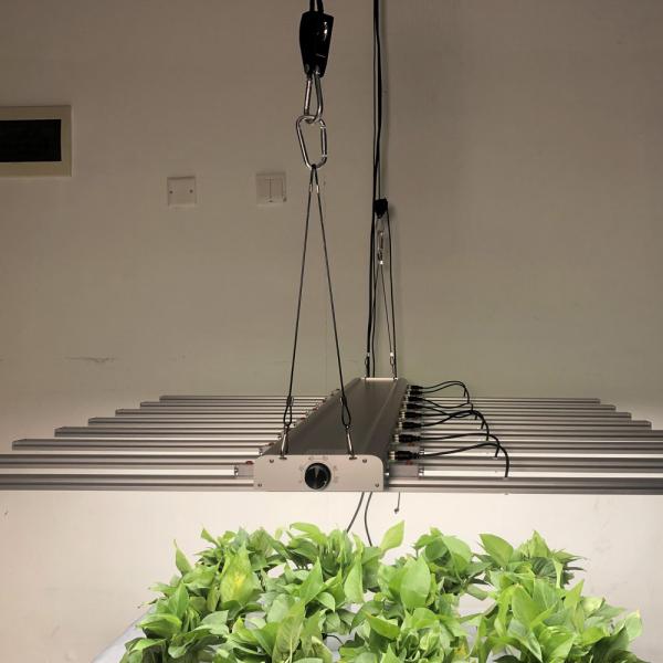High PPFD 110V 650W LED Grow Light Bar For Greenhouse