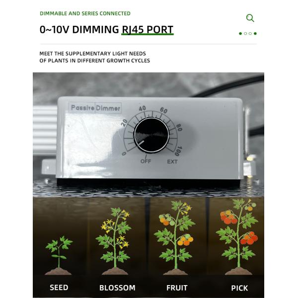 La luz de la tabla cuántica de invernadero para crecer para la tienda de cultivo