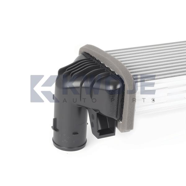 Automotive Cooling Systerm Intercooler Tank Auto Evaporator Cooler 302000800AA For Chery Auto Spare Parts Exeed RX