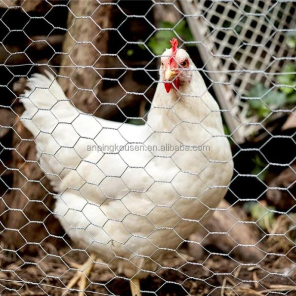 Agricultura Campo Galvanizado a quente Galvanizado de aço Grelha de fios de engrenagem Cercas conjuntas para gado