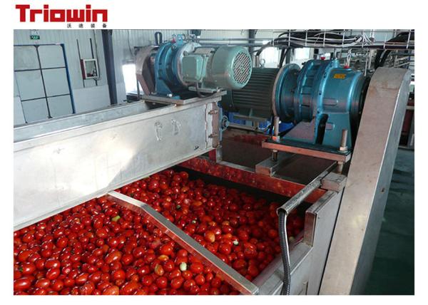 220V/380V Small Scale  Tomato Paste Processing Line With Sorting Section