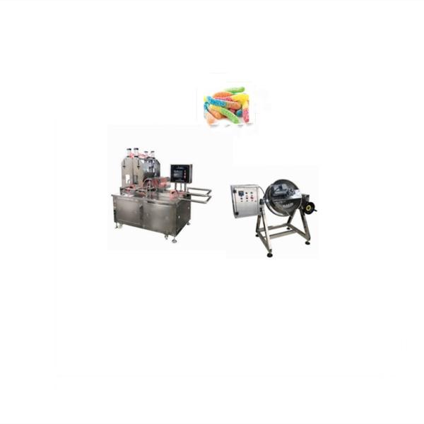 1900*900*1620mm Stainless Steel Industrial Sour Blueberry Candy Processing Equipment