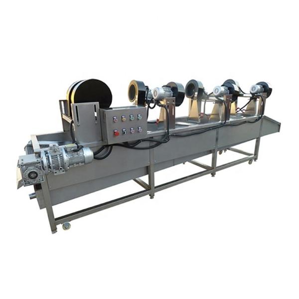 4000 X 1200 X 1600 mm Máquina automática de secar batatas fritas