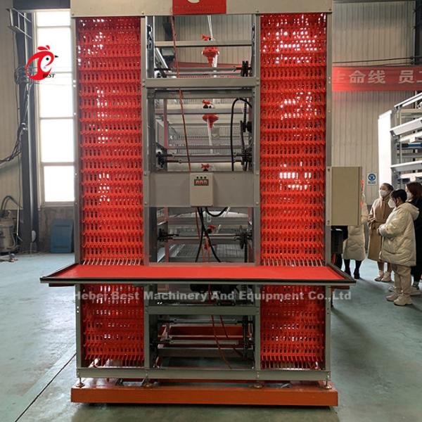 20 Years Lifespan Layer Poultry Farming Automatic Chicken Cage Equipment For 20,000 Layers Adela