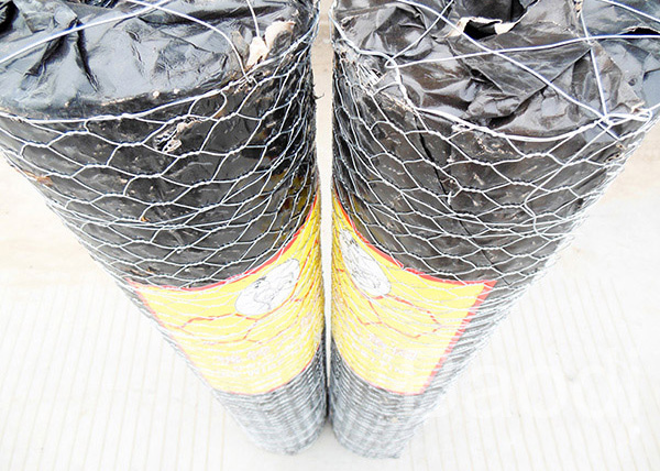 Poultry Fencing Chicken Wire Fence Panels , Electric Zinc Coating Chicken Wire Cage 