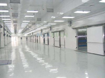 Low Temperature Walk In Freezer -18~-20°C Adjustable For Fish Meat Poultry