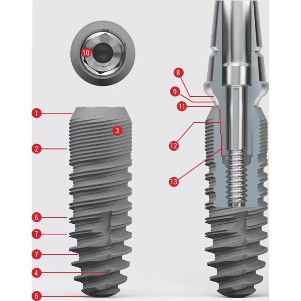 O titânio do implante dental de C-Tech® 14mm 10mm moeu pre o bloco do limite para o suporte de Arum Dess