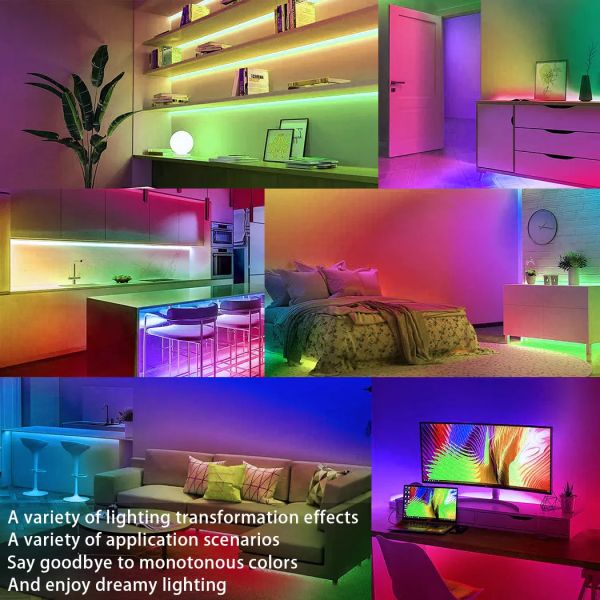 Ws2811 Ucs1903 IC Rgbic LED Strip Light Remote Control 60leds/M 20IC/M