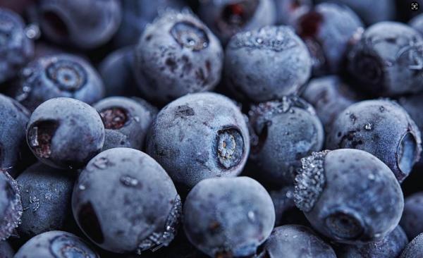 IQF Sweet Whole Blueberries Frozen Blueberries