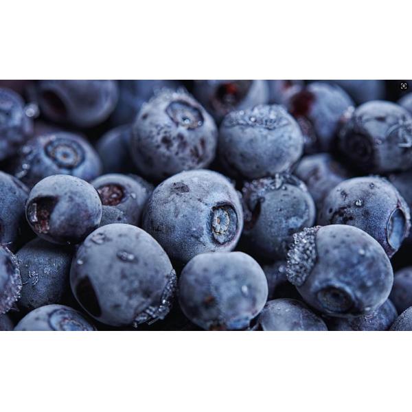 IQF Sweet Whole Blueberries Frozen Blueberries