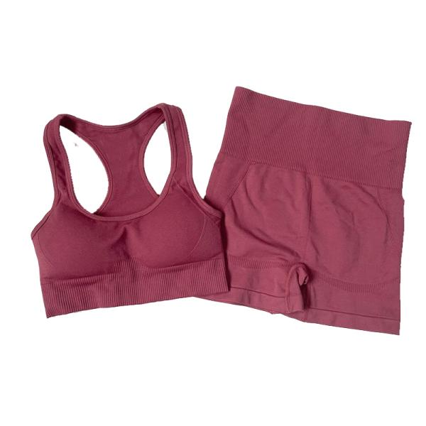 Wholesale Custom Seamless High Waist Yoga Leggings Sports Bras 2 Pieces Fitness Gym Sets Yoga Wear for Women