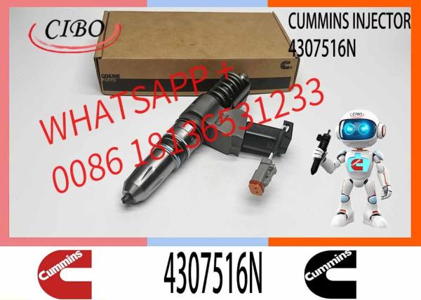 Remanufactured Quality N14 Series Fuel Injector Assy 4307516N Injector Part NO. 3411762 3411767 All On Sale