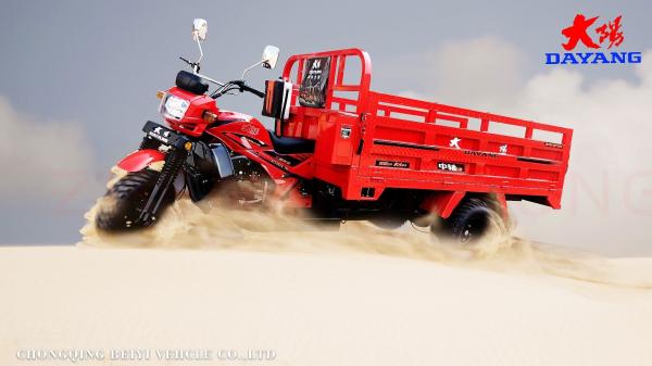 DAYANG 300cc Motociclo Triciclo 5 3 Retrovisores traseiros Folhas de Primavera Corpo Aberto Tipo Cargo Vermelho Adultos
