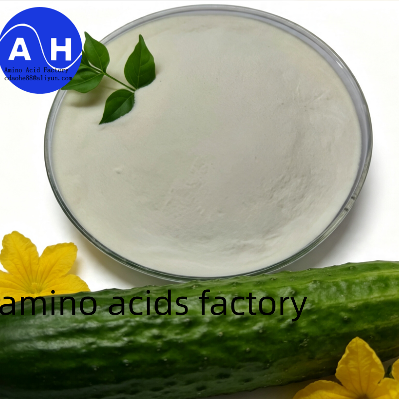 Corn Protein Amino Acid 80% with Deep Hydrolysis Technology, 100% Water Soluble and Non-GMO Source