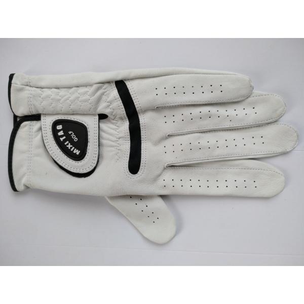 golf glove , golf gloves , glove , gloves